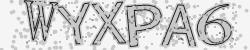 Please input captcha code