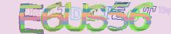 Please input captcha code