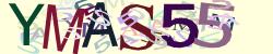 Please input captcha code
