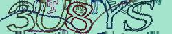 Please input captcha code