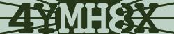 Please input captcha code
