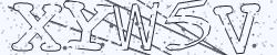 Please input captcha code