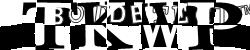 Please input captcha code