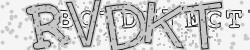 Please input captcha code