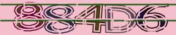 Please input captcha code