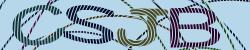 Please input captcha code