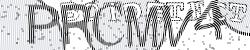 Please input captcha code