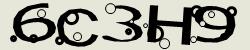 Please input captcha code