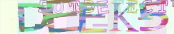 Please input captcha code