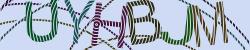 Please input captcha code