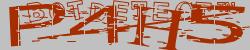 Please input captcha code