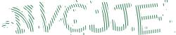 Please input captcha code