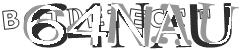 Please input captcha code