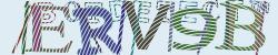Please input captcha code