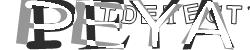 Please input captcha code