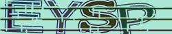 Please input captcha code