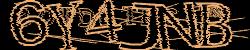 Please input captcha code