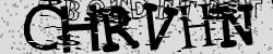 Please input captcha code