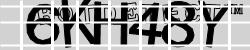 Please input captcha code