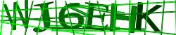Please input captcha code