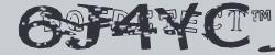 Please input captcha code