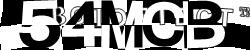 Please input captcha code