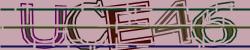 Please input captcha code