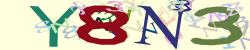 Please input captcha code