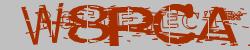 Please input captcha code