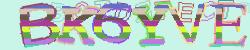 Please input captcha code