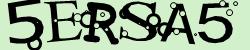 Please input captcha code