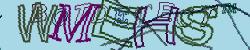 Please input captcha code
