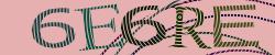 Please input captcha code