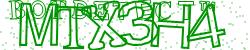 Please input captcha code