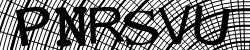 Please input captcha code