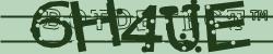 Please input captcha code