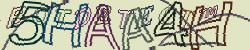 Please input captcha code
