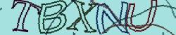 Please input captcha code