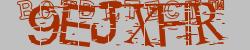 Please input captcha code