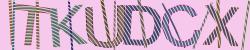 Please input captcha code