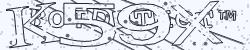 Please input captcha code