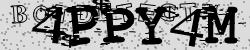 Please input captcha code