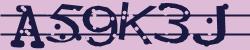 Please input captcha code