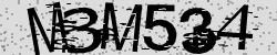 Please input captcha code