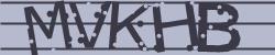 Please input captcha code