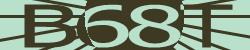 Please input captcha code