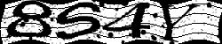 Please input captcha code