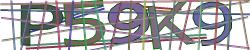 Please input captcha code