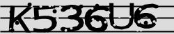 Please input captcha code