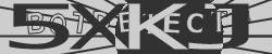 Please input captcha code
